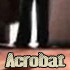Picture for song 'Acrobat' by artist 'Voodoo King'