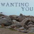 Picture for song 'Wanting You (Acoustic)' by artist 'Voodoo King'