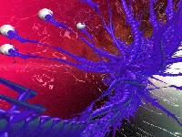 Picture for song 'World Murder' by artist 'Vortex Syndrome'