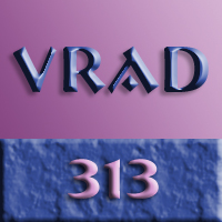 Picture for song '313' by artist 'VRAD'