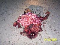 Picture for song 'DEEP STATEZ' by artist 'Vurbal Koz'