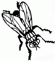 Picture for song 'Vaguyo' by artist 'Vurdos'