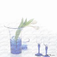 Picture for song 'Dui Pat Hei Pat See Nei' by artist 'Vv'