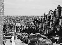 Picture for song 'Austin' by artist 'waco hoover'