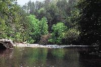 Picture for song 'Walk in the Park (guitar only)' by artist 'waco hoover'