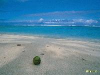 Picture for song 'Island Itinerary' by artist 'Wai'