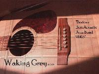 Picture for song 'Million Dollar Bill' by artist 'Waking Grey'