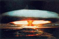 Picture for song 'Happy Puppy Flowers of DOOM' by artist 'Waldorf'