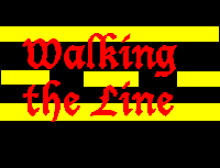 Picture for song 'Fight' by artist 'Walking the Line'