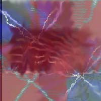 Picture for song '3 day rain' by artist 'walks the states'