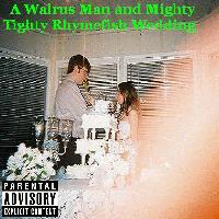 Picture for song 'Twinkle Twinkle Little Star' by artist 'Walrus Man and Mighty Tighty Rhymefish'