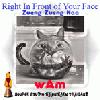 Picture for song 'right in Front of " Your Face " Zueng Zueng Naa...' by artist 'wAm'