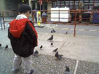 Picture for song 'more time' by artist 'wanda'