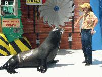 Picture for song 'parang awa mo na' by artist 'wanda'