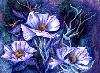 Picture for song 'Argentus Nox' by artist 'Wandering'