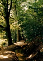 Picture for song 'Evening Land' by artist 'Warehouse'