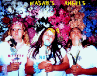 Picture for song 'Retarded Baby Crying' by artist 'Wasabi's Angels'
