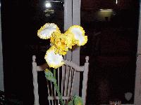 Picture for song 'Hiding My Heart' by artist 'Watson'