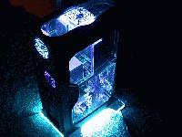 Picture for song 'comming back' by artist 'Wavelength records'