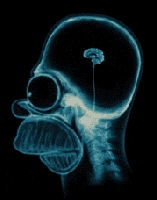 Picture for song 'experimental beat' by artist 'Wavelength records'