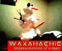 Picture for song 'Can Submarines Swim?' by artist 'Waxahachie'