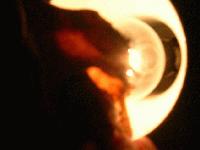 Picture for song 'dollhoused pincushion' by artist 'Wax Crayon'