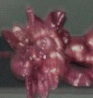 Picture for song 'sarcophagus number 90' by artist 'Wax Crayon'