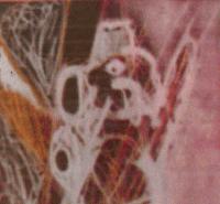 Picture for song 'the gauze which covers florentine' by artist 'Wax Crayon'