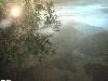 Picture for song 'A New Day(Acoustic)' by artist 'Weapons of Mass Destruction (US)'