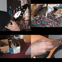 Picture for song 'Mirror-Mirror' by artist 'weAponX'