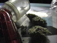 Picture for song '20. Deadbeat, Brezz & WhiteOut - Heaven On Earth' by artist 'We Grindin Mixtape Vol 1'