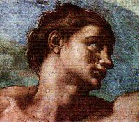 Picture for song 'adonis' by artist 'weitdragen'