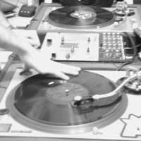 Picture for song 'Are You Stoopid?' by artist 'We One'