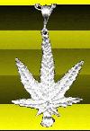 Picture for song 'Criminal Mind' by artist 'West Coast Beats'