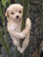 Picture for song 'The Beans Are Mine' by artist 'Whack A Moles'