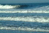 Picture for song 'Homeruler/Flowing Tide' by artist 'Whistletunes'