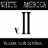 Picture for song '03 - How I Bring It' by artist 'White America'