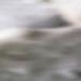 Picture for song 'gilest flux' by artist 'white car'