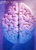 Picture for song 'Got It On My Mind (first)' by artist 'White Castle Rappers'