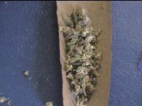 Picture for song 'Blunt 101' by artist 'WhiteOut'
