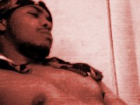 Picture for song 'Jungle Out there' by artist 'White Owl Bundy'