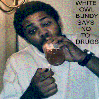Picture for song 'World Of Shit' by artist 'White Owl Bundy'