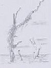 Picture for song 'Blue Violin Astray From The Box Shuffle' by artist 'White Violin'