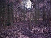 Picture for song 'Dark Times' by artist 'Whitey SpOOks'