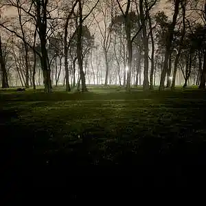 Picture for song '"Where" Beat for Sale' by artist 'whoDeanyBeatz'