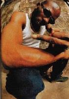 Picture for song 'southerncomfort' by artist 'Whoer Tour'