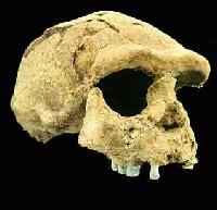 Picture for song 'The Massacre(6 niggaz murdered)' by artist 'Wicked aka Suffer'