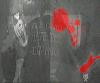 Picture for song 'Kryptik - Cryptogenic (Y2Kill Mix)' by artist 'Wicked World of Darklotus'
