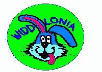 Picture for song 'hAMMEr TiMe (see you soooon Mix)' by artist 'Widdlonia'