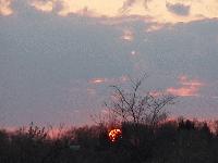 Picture for song '(protest song)' by artist 'Wide Eyed'